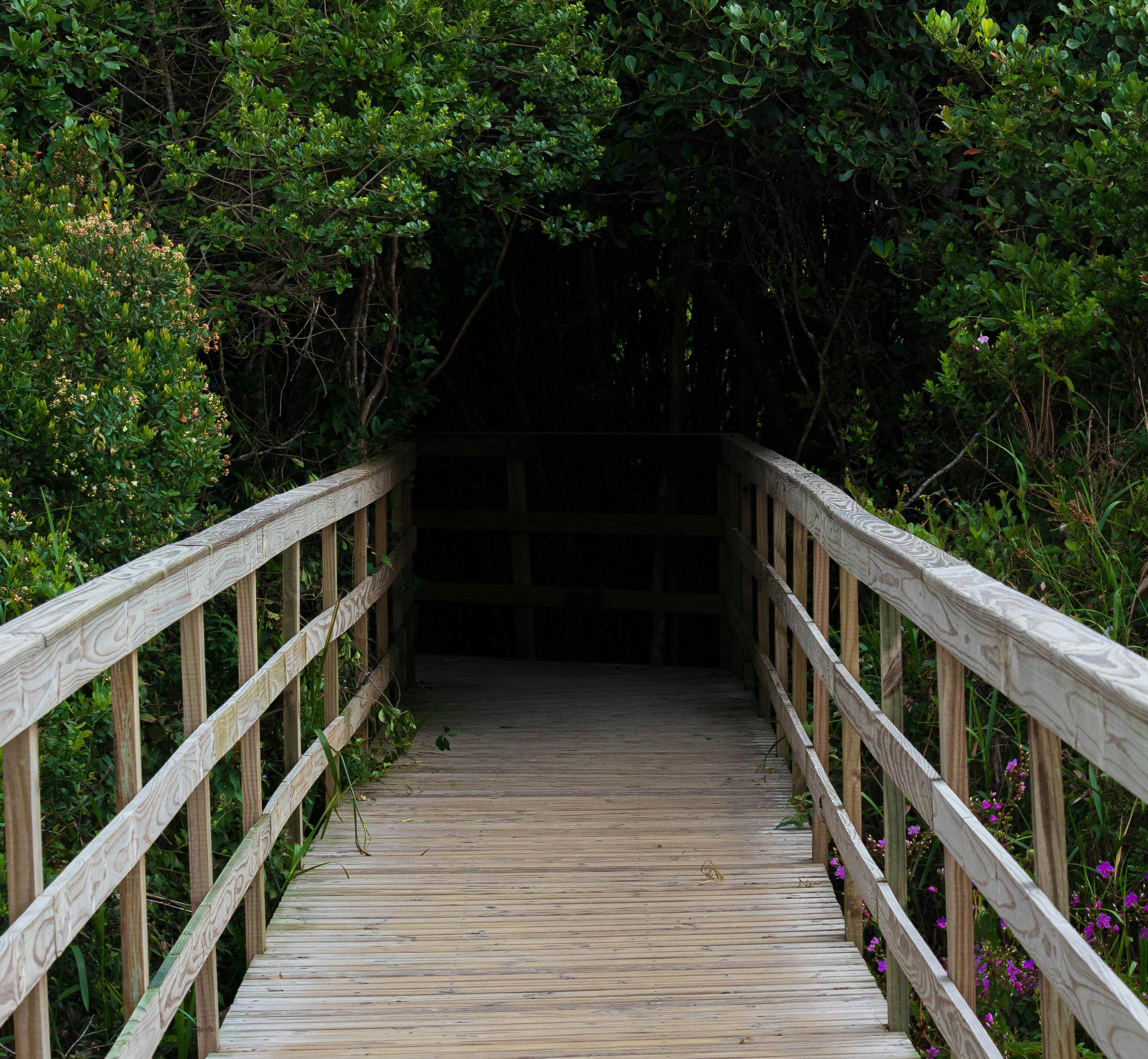 People are waiting for the bridge. Build the one they're looking for. Photo: Pexels People are waiting for the bridge. Build the one they're looking for. Photo: Pexels